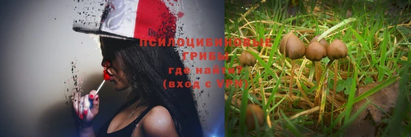 мескалин Аркадак