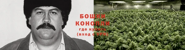 мескалин Аркадак