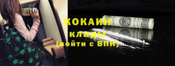 тгк Арсеньев