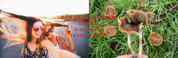 ешки Армянск