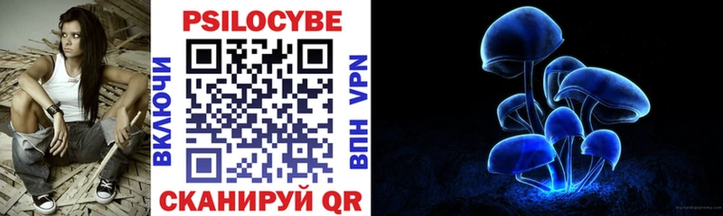Псилоцибиновые грибы прущие грибы  кракен ссылки  Ленинск  где можно купить наркотик 